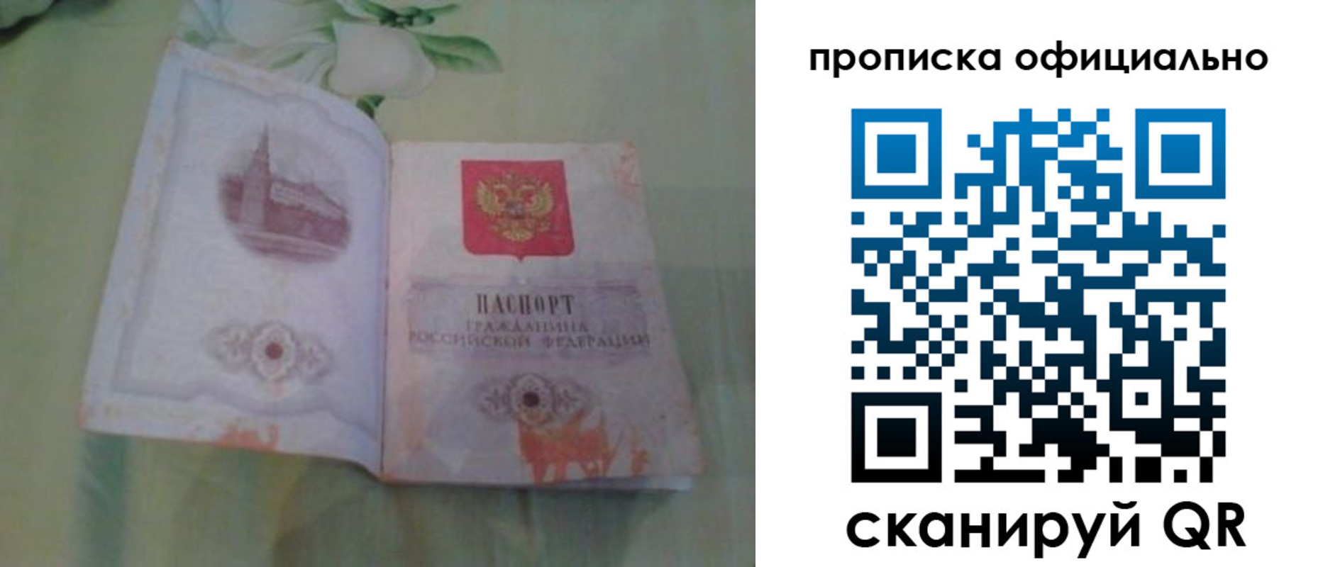 где прописаться в Лосино-Петровском